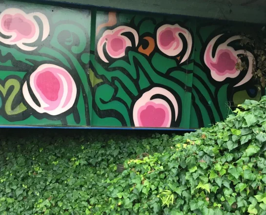 Colourful floral artwork featuring pink flowers and green leaves